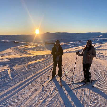 Delikat Hytte Omgitt Av Hallingdals Vakre Fjell Ål Exterior foto