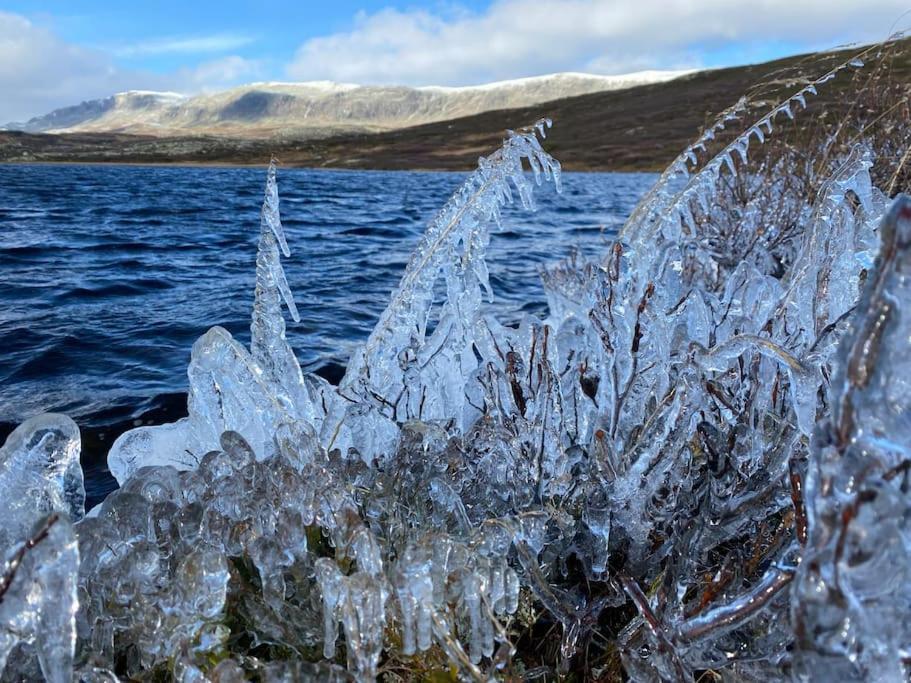Delikat Hytte Omgitt Av Hallingdals Vakre Fjell Ål Exterior foto