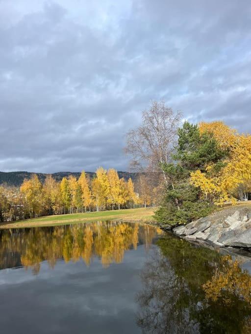 Delikat Hytte Omgitt Av Hallingdals Vakre Fjell Ål Exterior foto