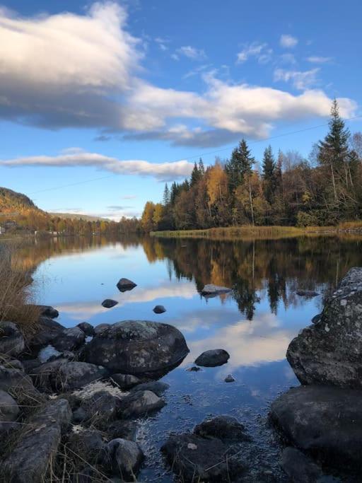 Delikat Hytte Omgitt Av Hallingdals Vakre Fjell Ål Exterior foto
