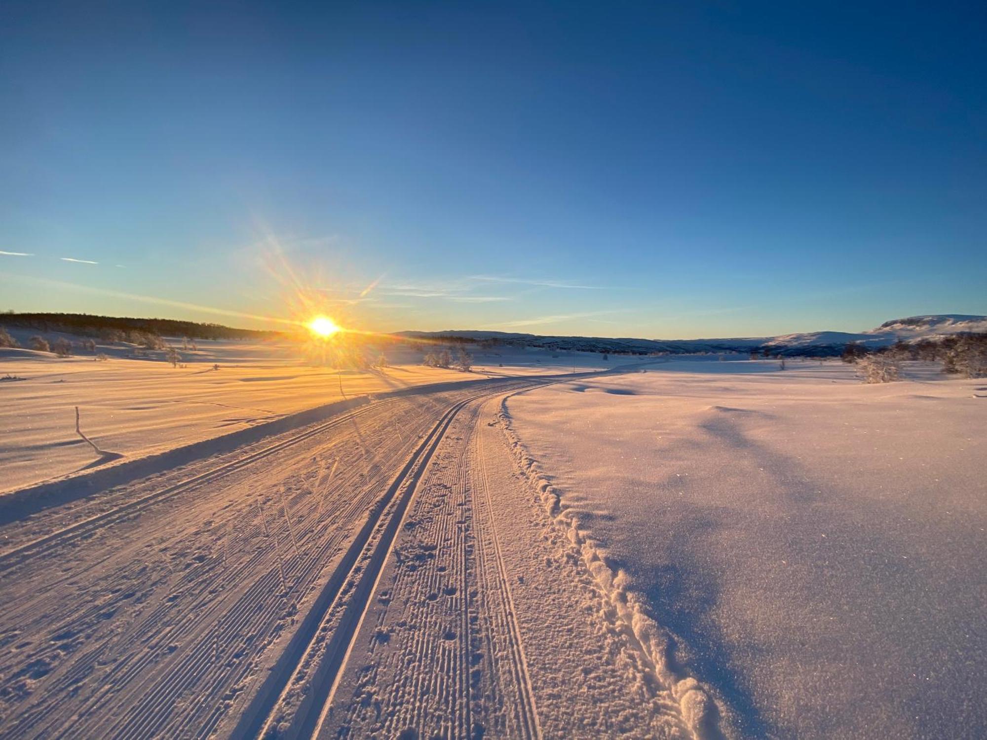 Delikat Hytte Omgitt Av Hallingdals Vakre Fjell Ål Exterior foto